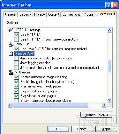 Java Virtual Machine,Microsoft Java Virtual Machine,Java虚拟机