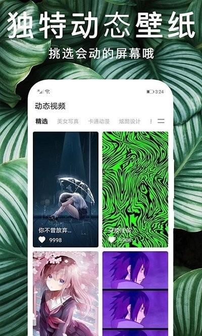 灵猫桌面壁纸手机版下载,灵猫桌面壁纸,壁纸app,个性app